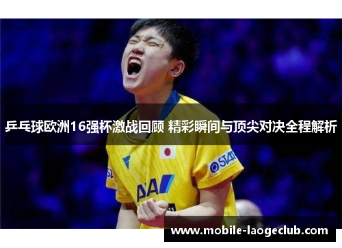 乒乓球欧洲16强杯激战回顾 精彩瞬间与顶尖对决全程解析