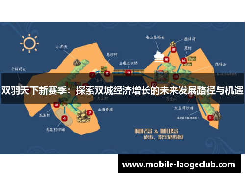 双羽天下新赛季：探索双城经济增长的未来发展路径与机遇