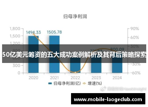 50亿美元筹资的五大成功案例解析及其背后策略探索