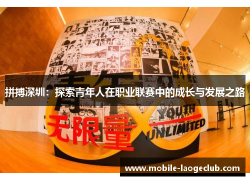 拼搏深圳：探索青年人在职业联赛中的成长与发展之路