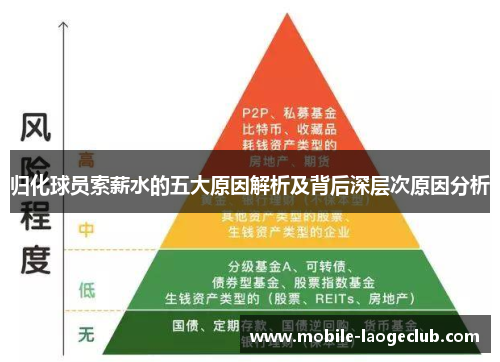 归化球员索薪水的五大原因解析及背后深层次原因分析