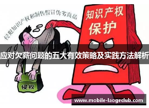 应对欠薪问题的五大有效策略及实践方法解析