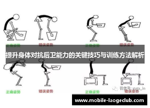 提升身体对抗后卫能力的关键技巧与训练方法解析