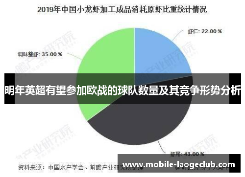 明年英超有望参加欧战的球队数量及其竞争形势分析