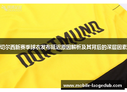 切尔西新赛季球衣发布延迟原因解析及其背后的深层因素
