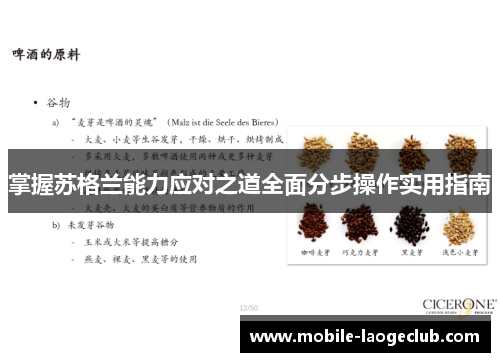 掌握苏格兰能力应对之道全面分步操作实用指南