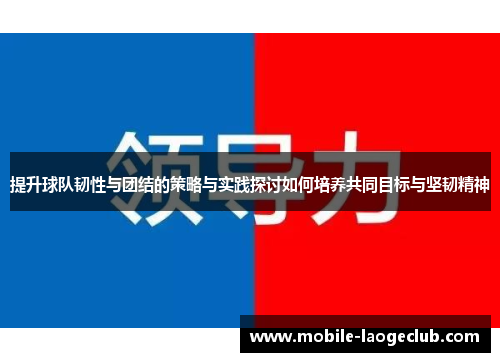 提升球队韧性与团结的策略与实践探讨如何培养共同目标与坚韧精神