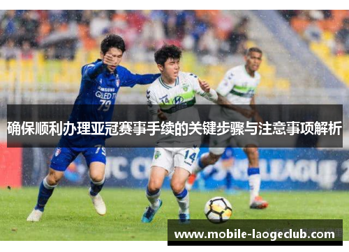 确保顺利办理亚冠赛事手续的关键步骤与注意事项解析