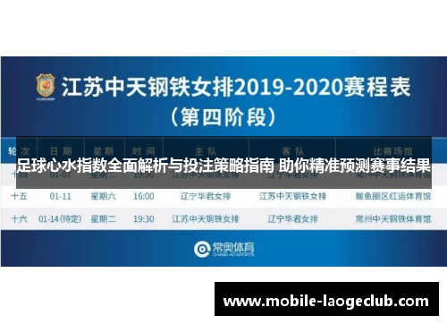 足球心水指数全面解析与投注策略指南 助你精准预测赛事结果