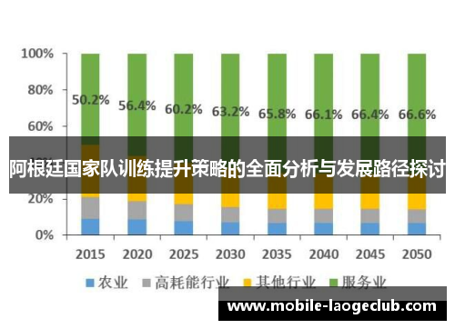 阿根廷国家队训练提升策略的全面分析与发展路径探讨